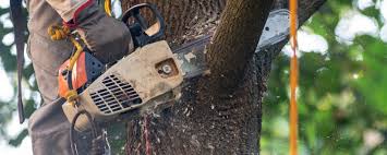 Best Commercial Tree Services  in Atlanta, TX